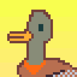 Duck-#145