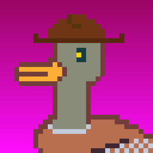 Duck-#271