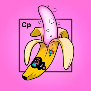 Experimental Banana 02995