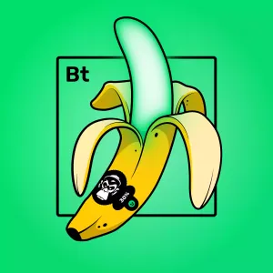 Experimental Banana 02241