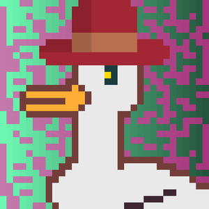 Duck-#72