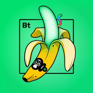 Experimental Banana 03718