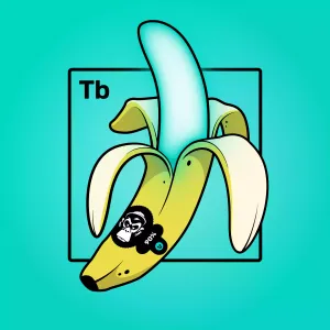 Experimental Banana 03003