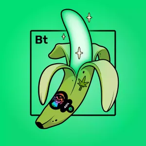 Experimental Banana 02000