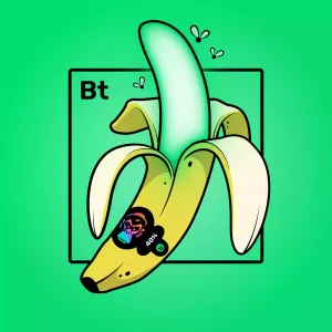 Experimental Banana 02423