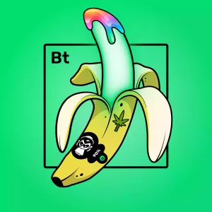 Experimental Banana 03211