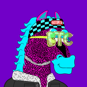  MR CHUMMY 🐴 053