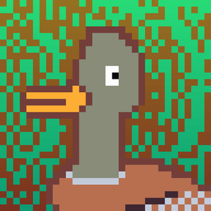 Duck-#380