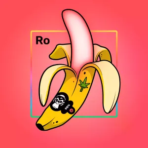 Experimental Banana 01921