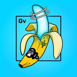 Experimental Banana 01872