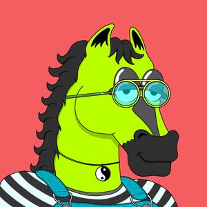 MR CHUMMY 🐴 248