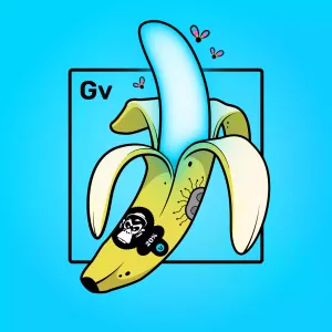 Experimental Banana 02495