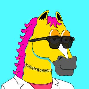MR CHUMMY 🐴 216