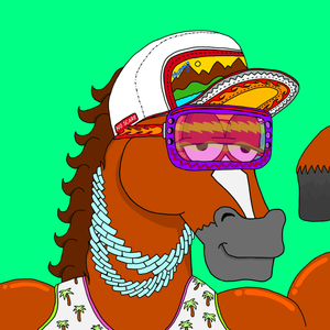 MR CHUMMY 🐴 034