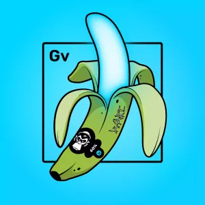 Experimental Banana 01257