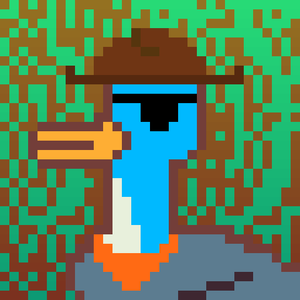 Duck-#484