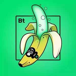 Experimental Banana 08328