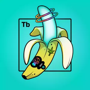 Experimental Banana 05559