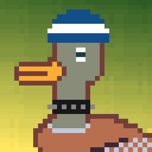 Duck-#480