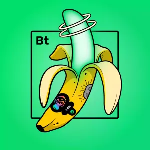 Experimental Banana 09446