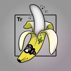 Experimental Banana 07827