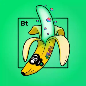 Experimental Banana 06988