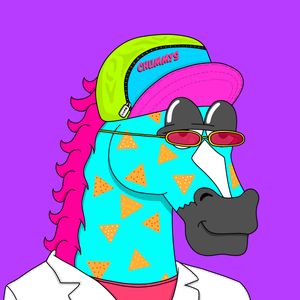 MR CHUMMY 🐴 208