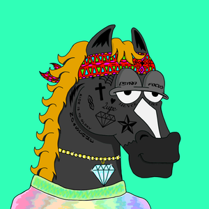MR CHUMMY 🐴 039