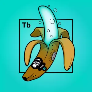 Experimental Banana 01508