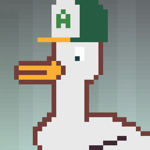 Duck-#253