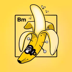 Experimental Banana 00182