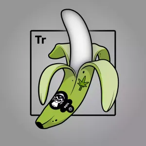 Experimental Banana 09486