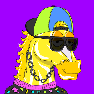 MR CHUMMY 🐴 024