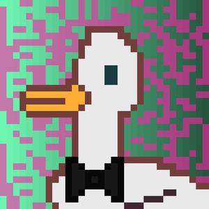 Duck-#205