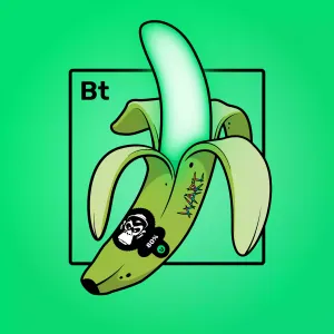 Experimental Banana 08961