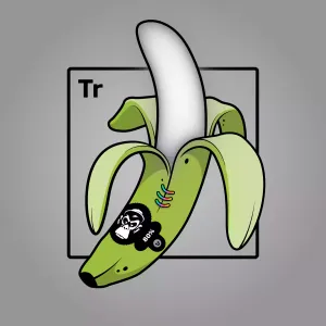 Experimental Banana 02761