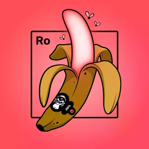 Experimental Banana 01780