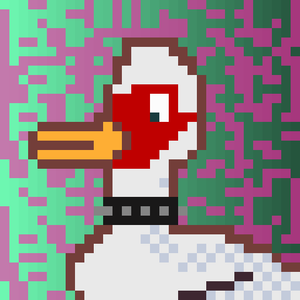 Duck-#430