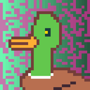 Duck-#488