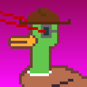 Duck-#210