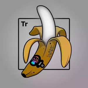 Experimental Banana 04266