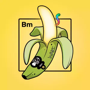 Experimental Banana 02230