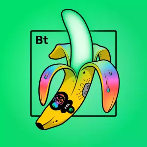 Experimental Banana 03008