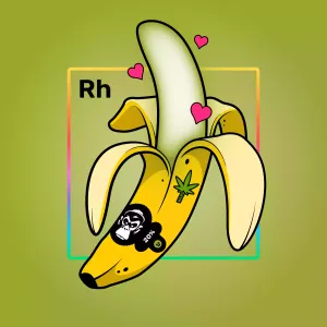 Experimental Banana 03014