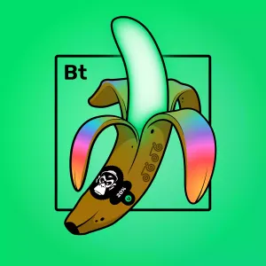 Experimental Banana 04937