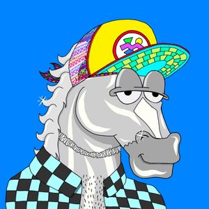 MR CHUMMY 🐴 040