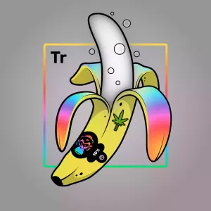 Experimental Banana 03144