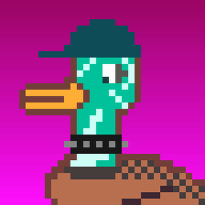 Duck-#384