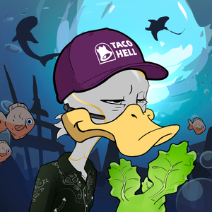 Ducking Fuzz #1505
