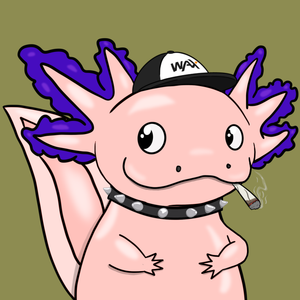 Waxolotl #875